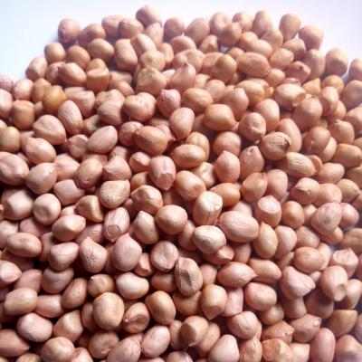 Giá trị dinh dưỡng và lợi ích sức khỏe của đậu phộng!