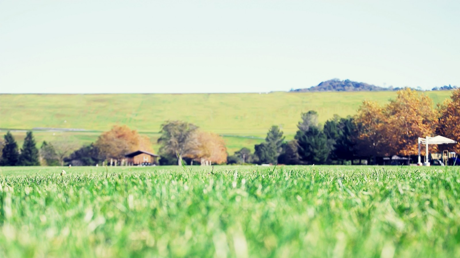 banner 2